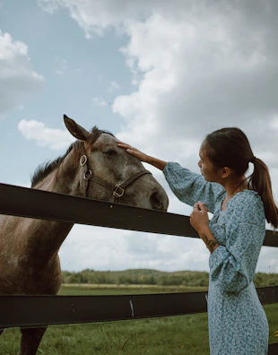 A child brushing a calm horse’s mane under a clear blue sky.
