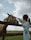 Young woman visiting the farm, gently petting a buffalo under clear blue skies.