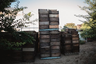 A stack of wooden crates is situated outdoors, surrounded by leafy green trees and a metal fence. The crates are weathered, suggesting outdoor exposure. The sky is clear and bright.