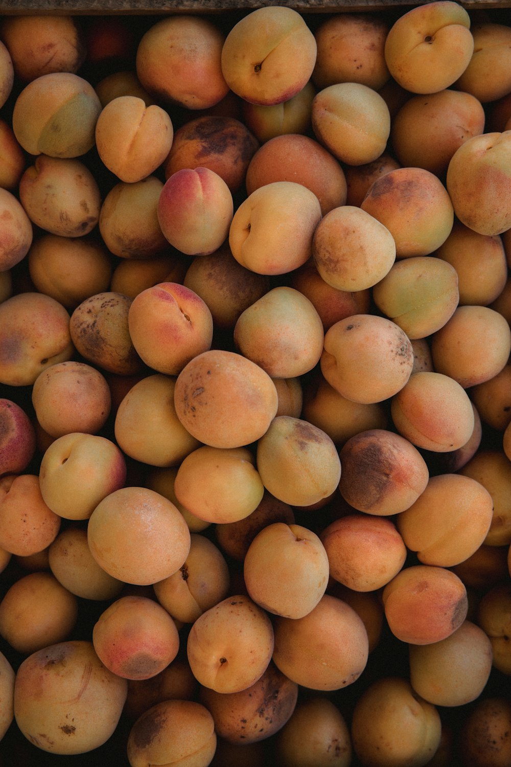 brown round fruits on brown wooden table