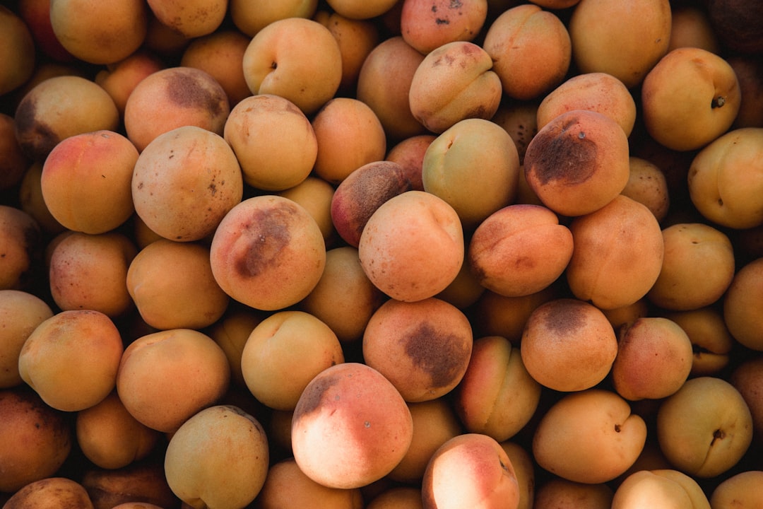 yellow and red round fruits