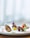 A gourmet dish is artfully presented on a plate with succulent pieces of meat garnished with colorful sauces and edible flowers. The dish includes vibrant splashes of red and yellow, complemented by green herbs, creating an elegant and sophisticated culinary presentation.