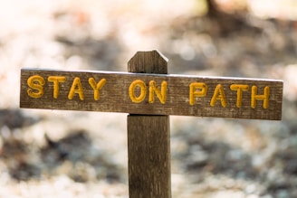 brown wooden arrow sign during daytime