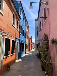 green plants in front of pink concrete building
