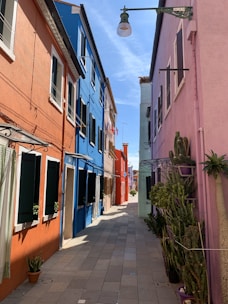 green plants in front of pink concrete building