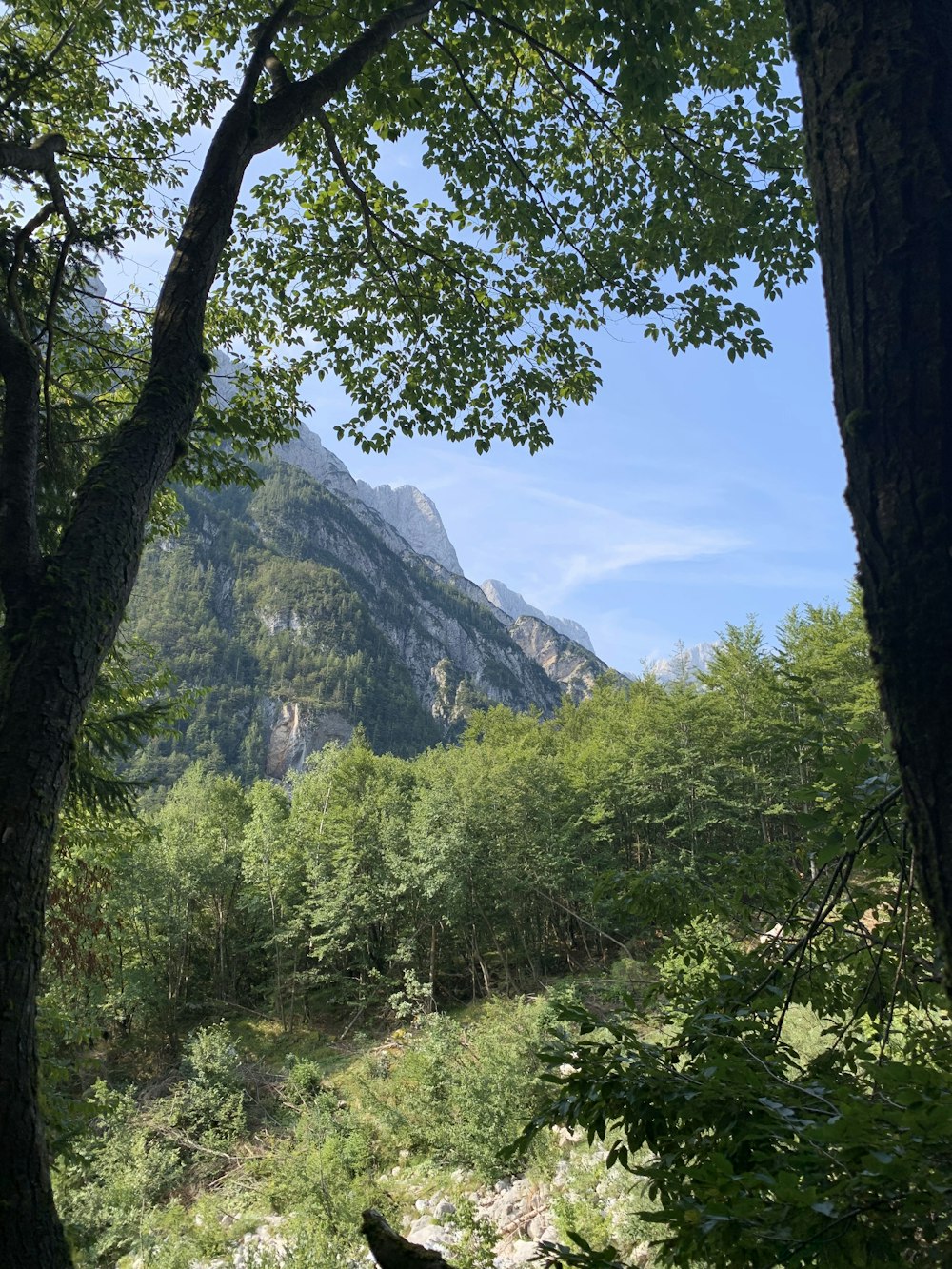 árboles verdes cerca de la montaña bajo el cielo azul durante el día