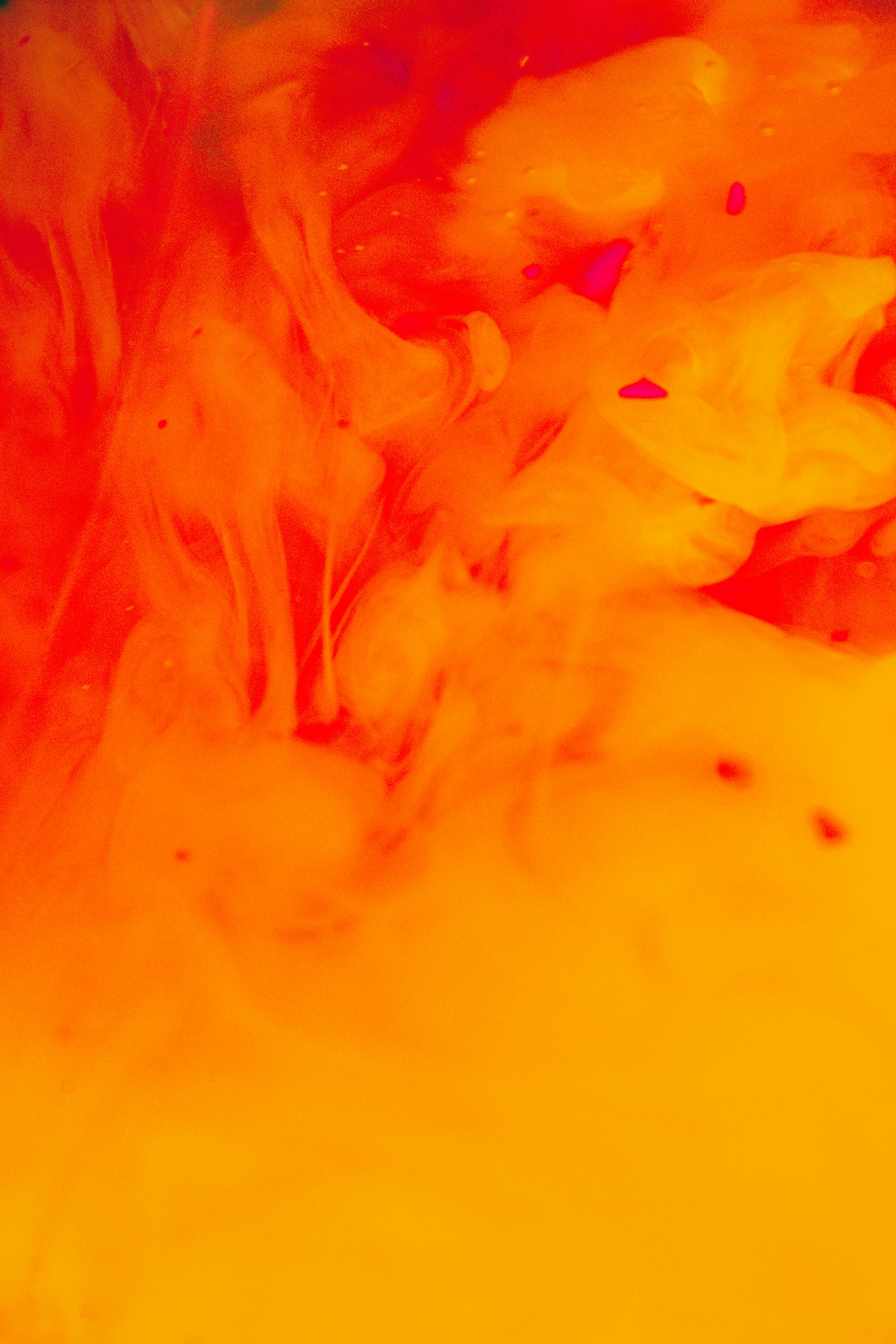 Photo by honeyyanibel