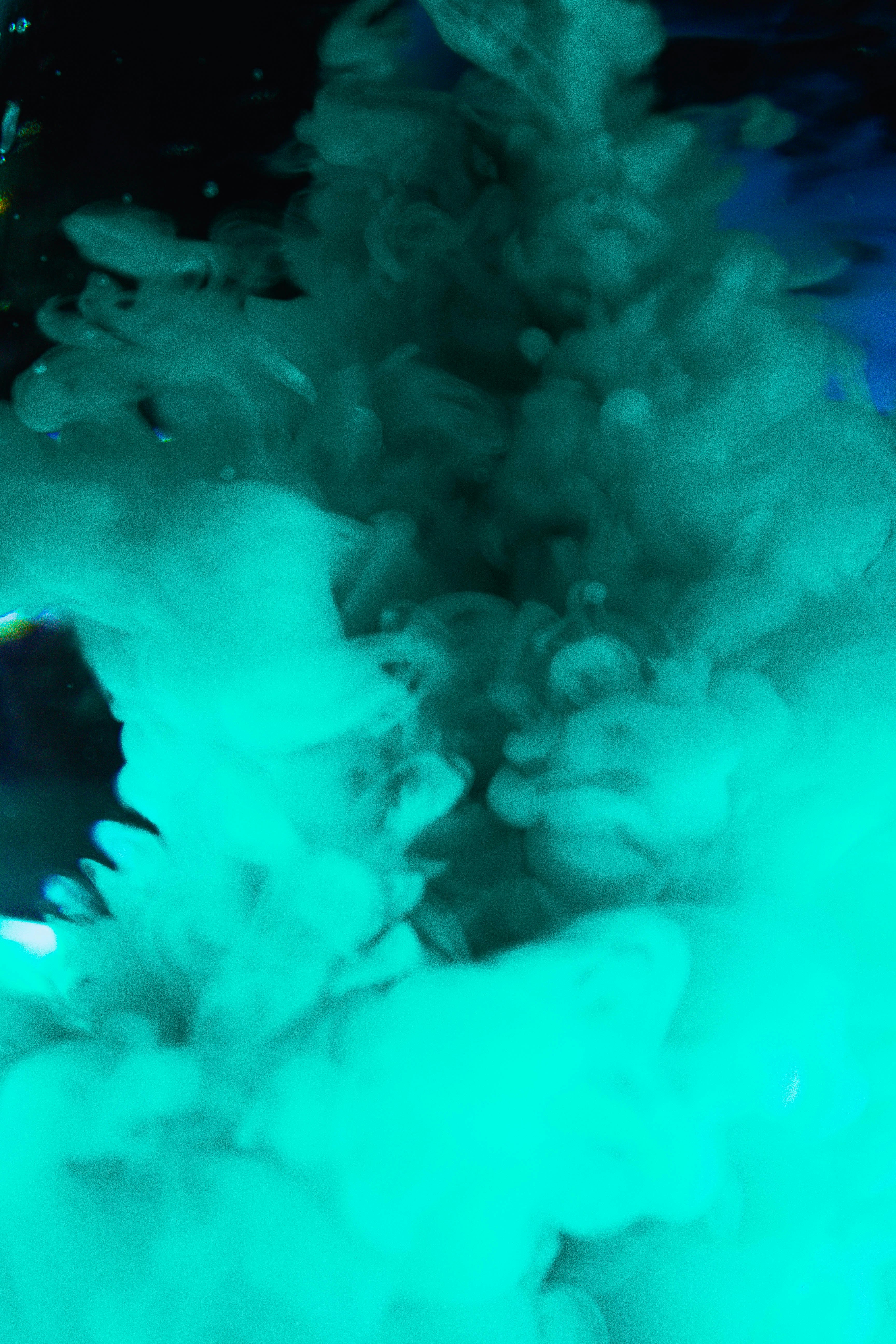 Photo by honeyyanibel