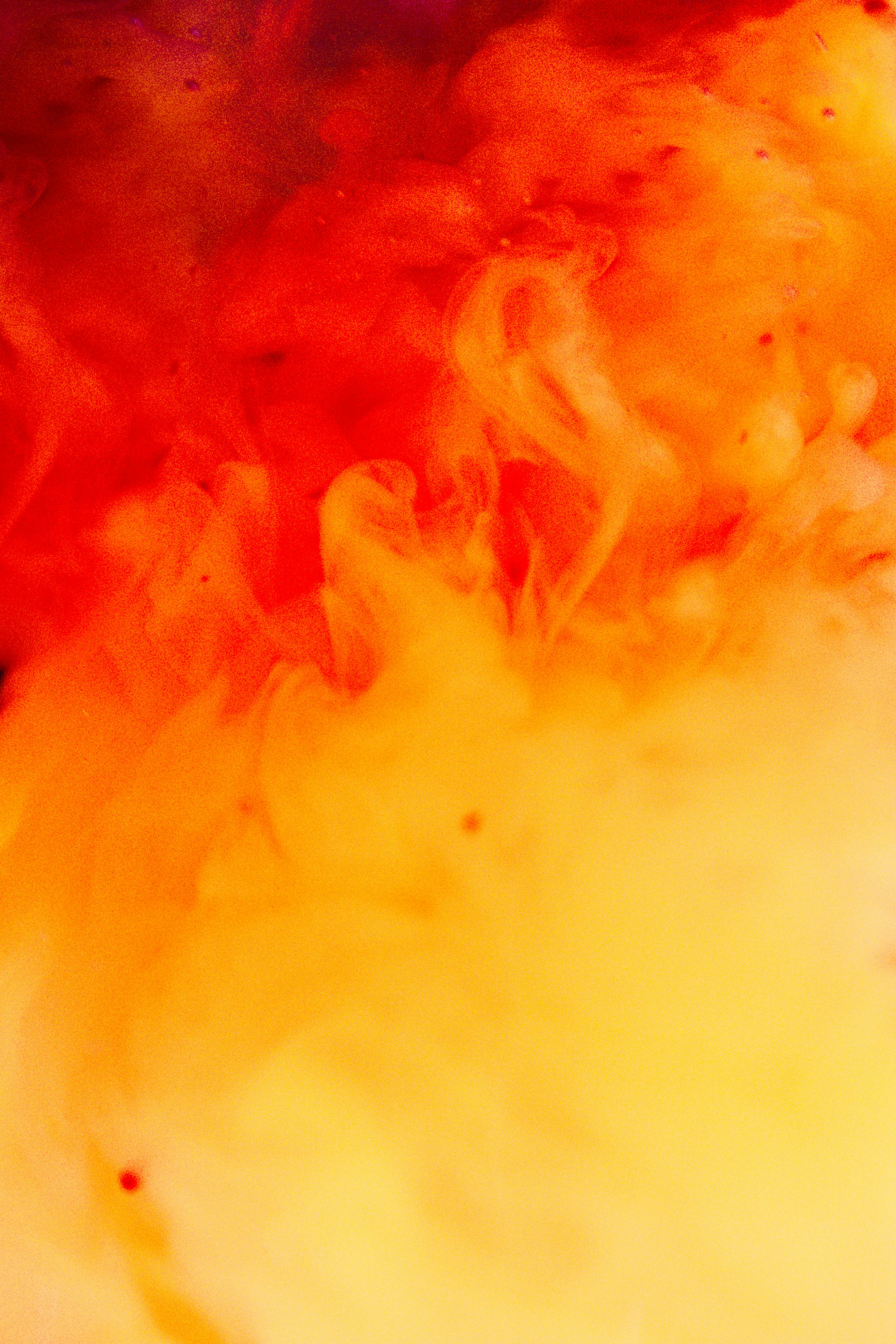 Photo by honeyyanibel