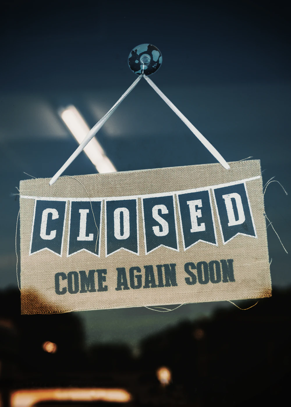 Panda cub playing in a tree