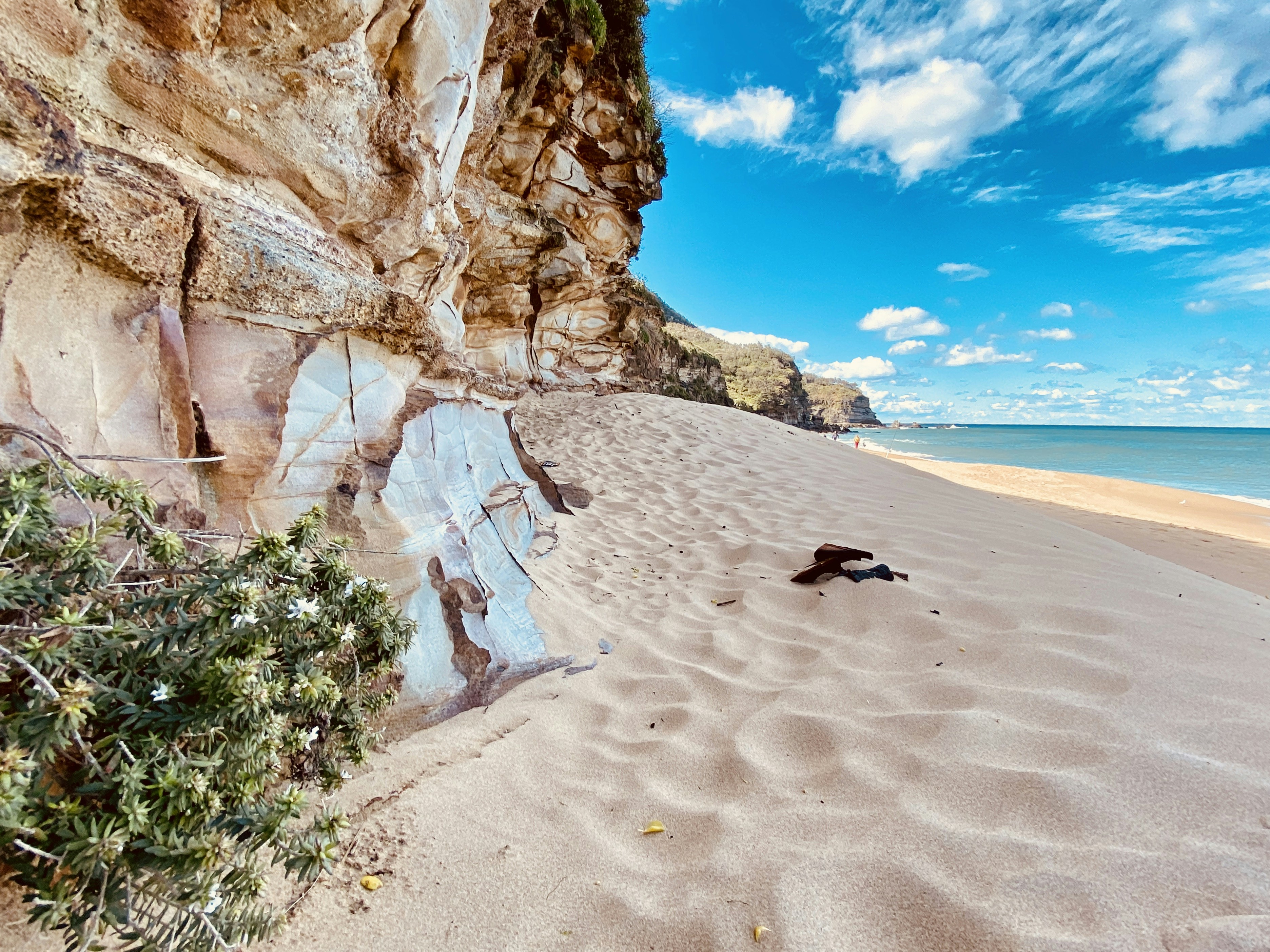 black bird on gray sand near brown rock formation during daytime