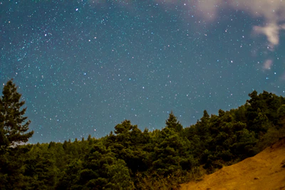A serene night sky filled with stars above a quiet forest, perfect for stargazing.