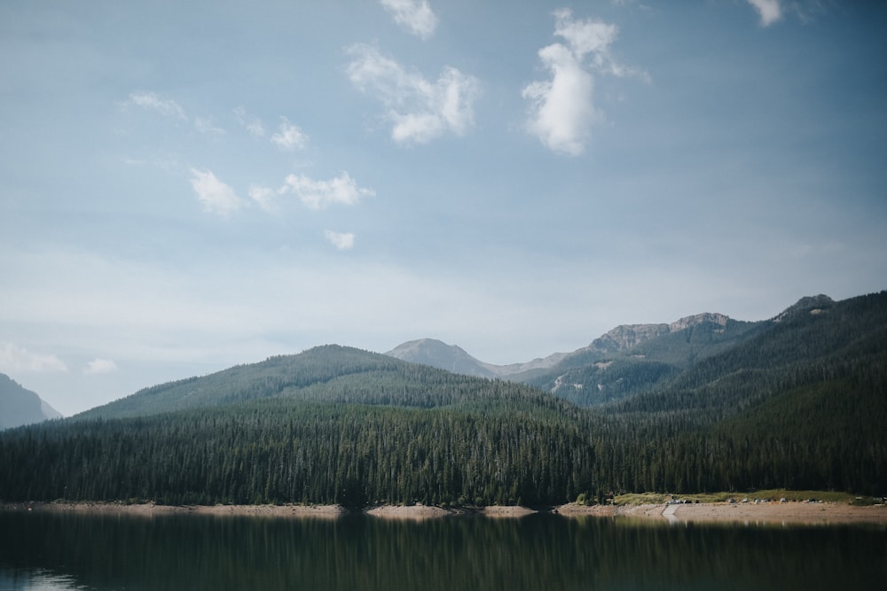 green trees near lake under white clouds and blue sky during daytime