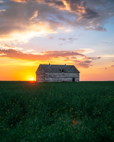 Red barn on green prairie fields at golden sunset — Frontier Fiction by J.P. Barelli