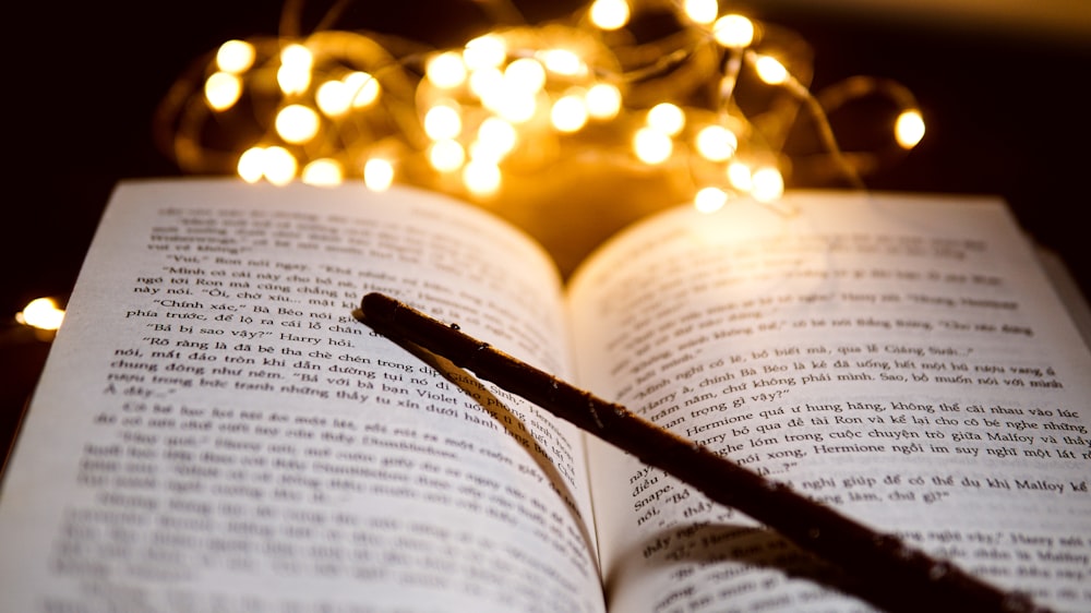 brown stick on book page