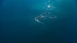 An aerial view of a small stretch of islands surrounded by vast expanses of deep blue water. The islands have a rugged coastline with patches of greenery and sandy beaches. A few wisps of clouds are visible above the water, adding to the serene atmosphere.