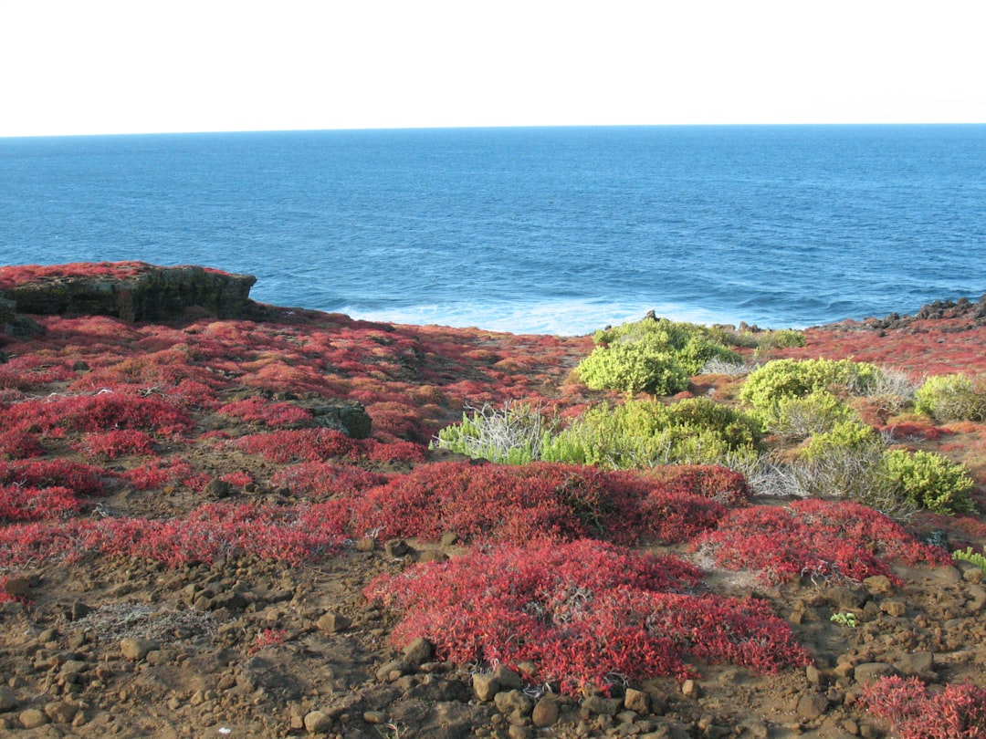 Nature reserve photo spot Galapagos Islands Ecuador