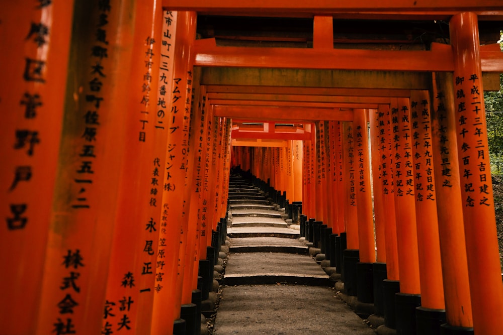 orange and black wooden hallway