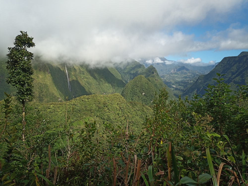 campo de hierba verde cerca de la montaña bajo nubes blancas durante el día