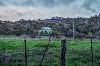 A rural landscape with a farmhouse surrounded by lush green fields and dense trees under a cloudy sky. The scene includes a rustic fence in the foreground and an electricity pole near the house.