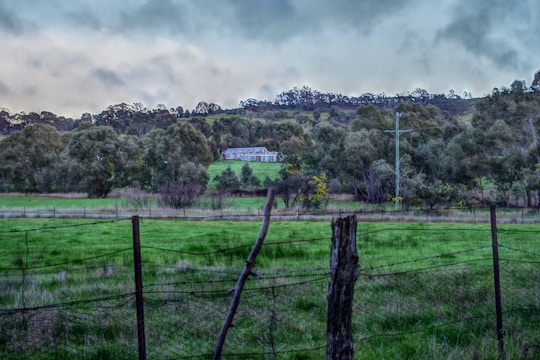 A rural landscape with a farmhouse surrounded by lush green fields and dense trees under a cloudy sky. The scene includes a rustic fence in the foreground and an electricity pole near the house.
