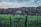 Photo of a woman standing in a green field with a farmhouse and power poles behind her.