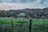 Photo of a woman standing in a green field with a farmhouse and power poles behind her.