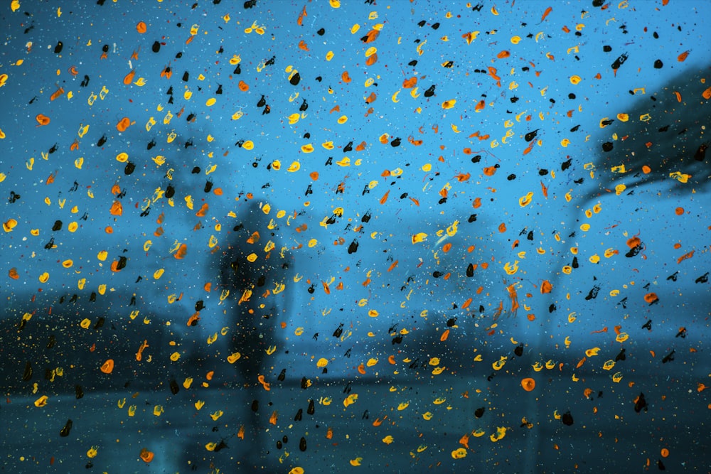 water droplets on glass window