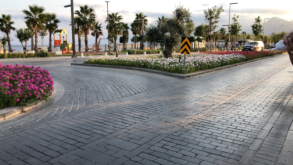 green palm trees near road during daytime