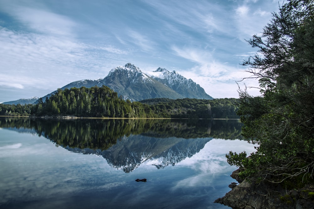 árboles verdes cerca del lago y la montaña bajo el cielo azul durante el día