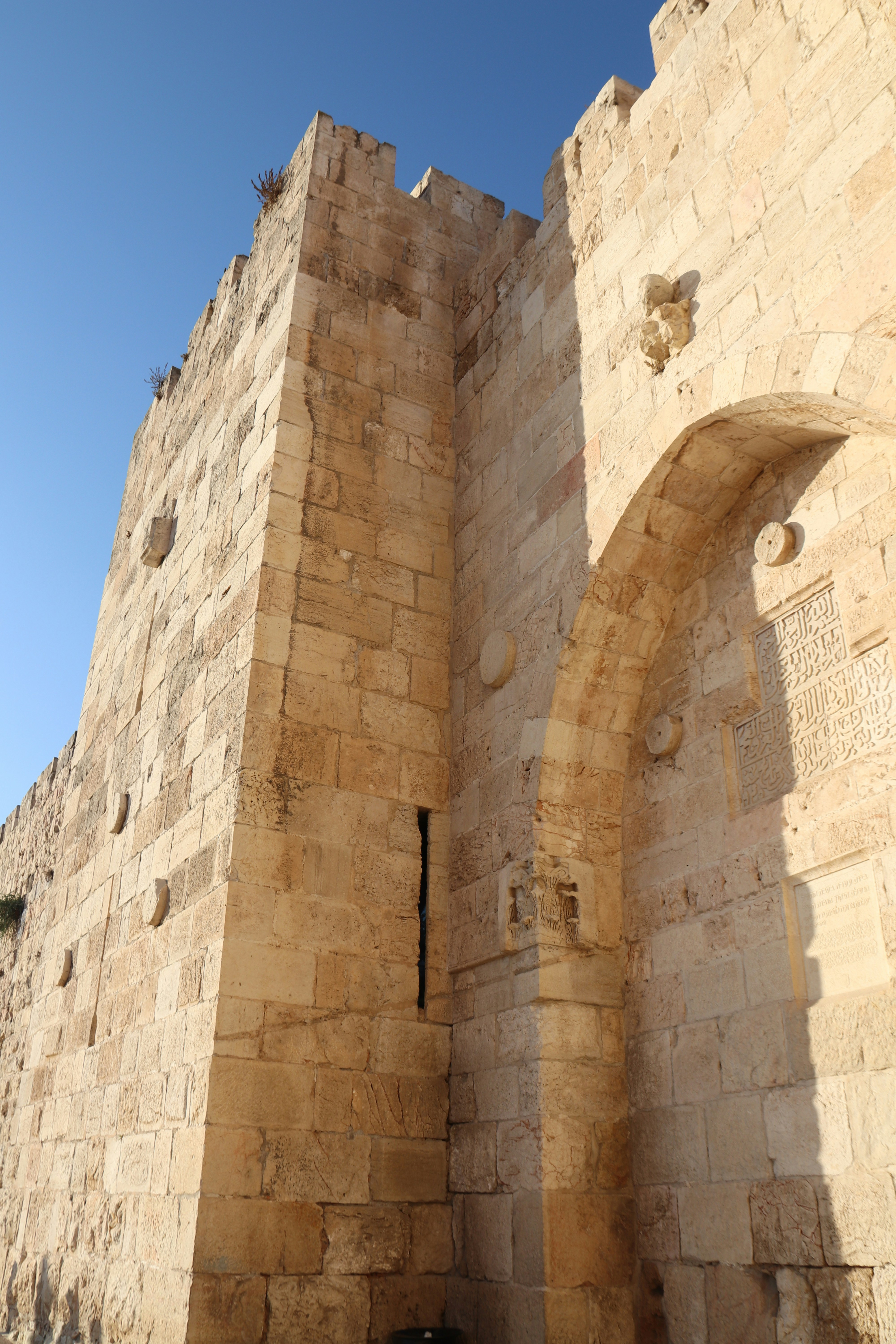 Photo by shalevcohen