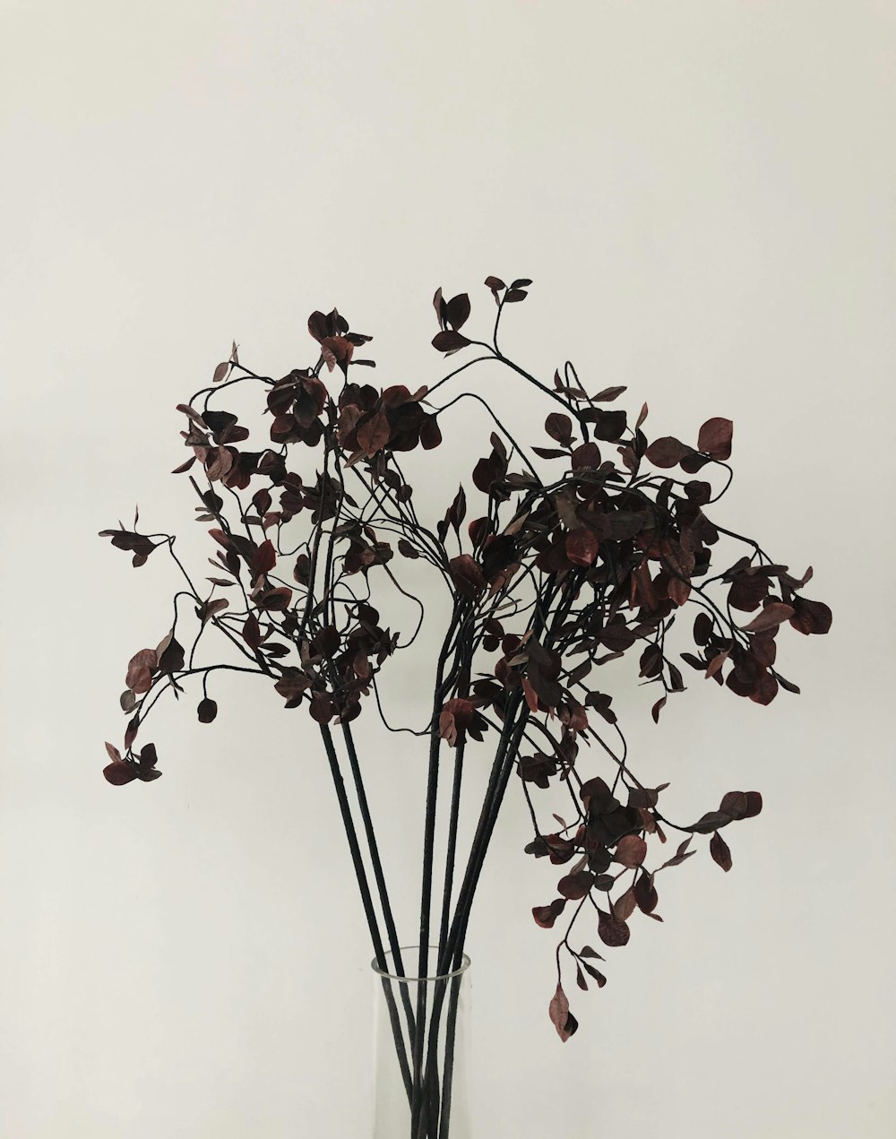 a vase filled with flowers on top of a table