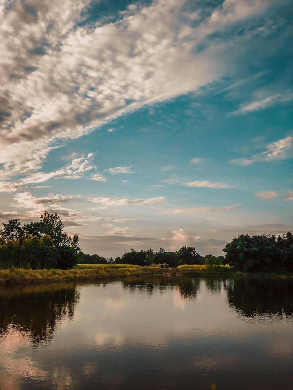 green trees beside lake under blue sky and white clouds during daytime