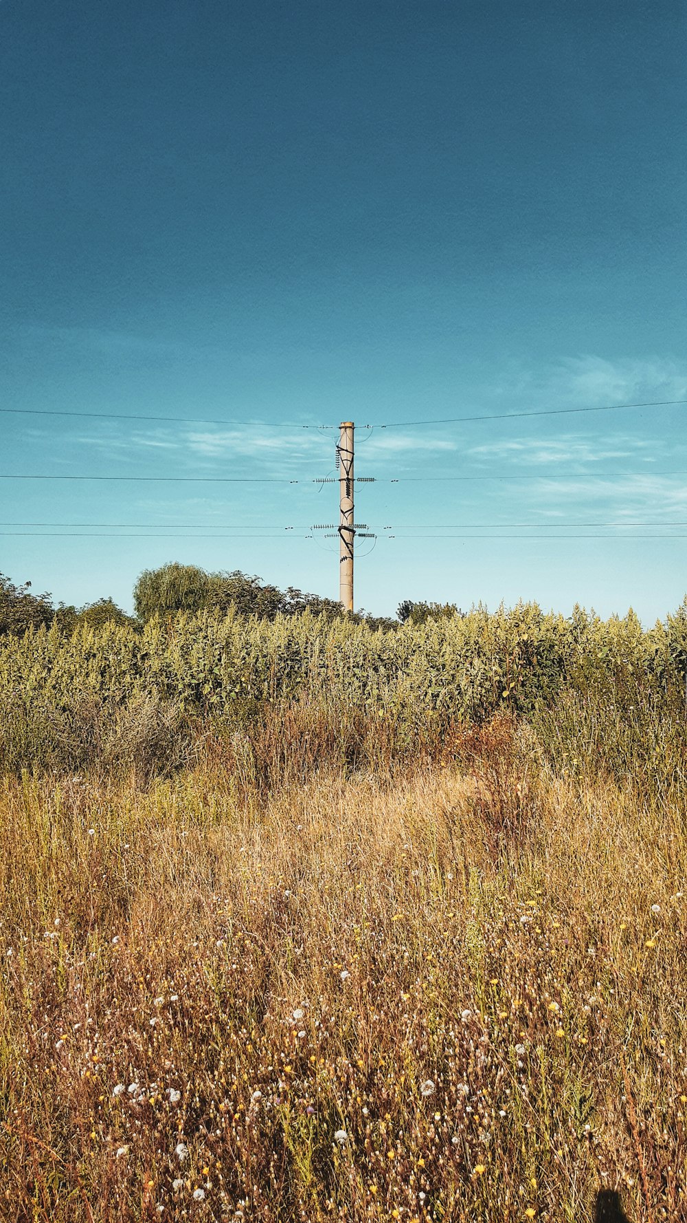 brown wooden electric post on green grass field under blue sky during daytime