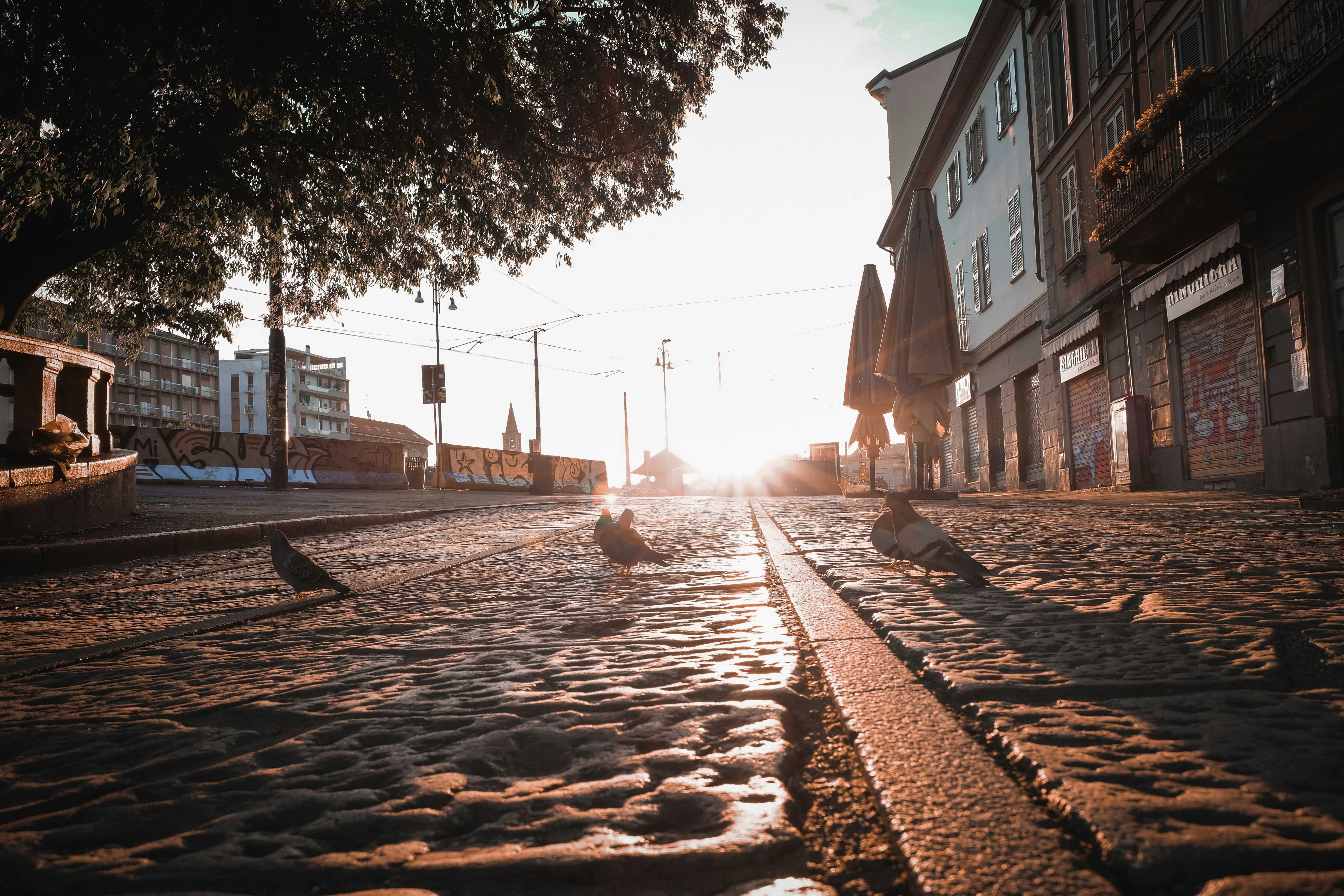 Photo by francesco_ungaro