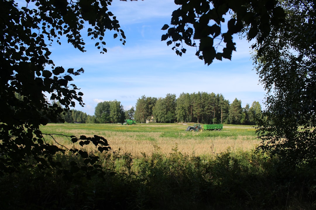 green grass field and trees under blue sky during daytime