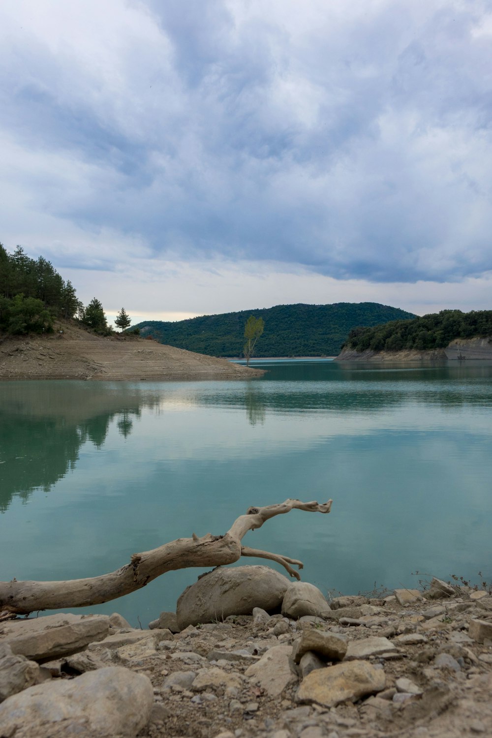 green trees near lake under white clouds and blue sky during daytime