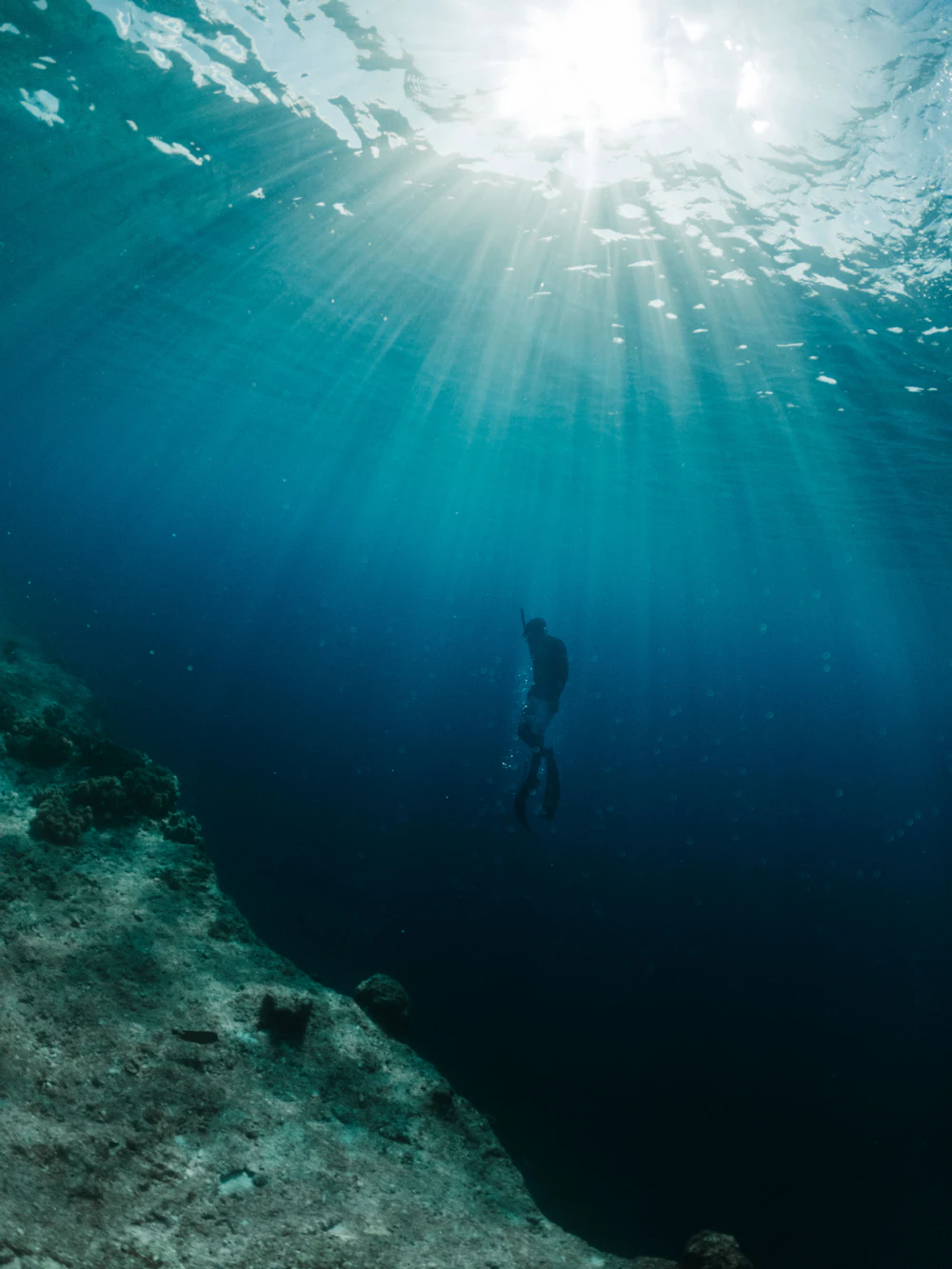 A diver descending through clear blue ocean water