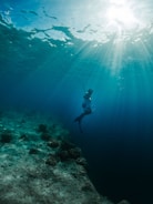 A person is underwater swimming or diving with a spear in hand. Sunlight filters through the ocean surface, casting rays into the deep blue water. The ocean floor is visible, with patches of coral and rocks.