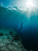 A serene underwater scene with a lone spearfisherman preparing gear near coral reefs.