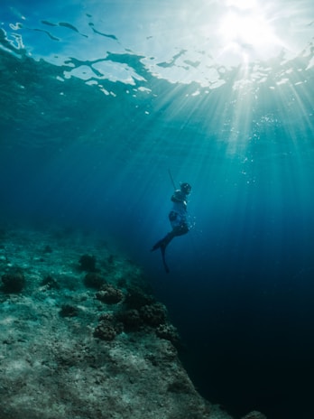 Underwater shot of a diver spearfishing in clear blue water.