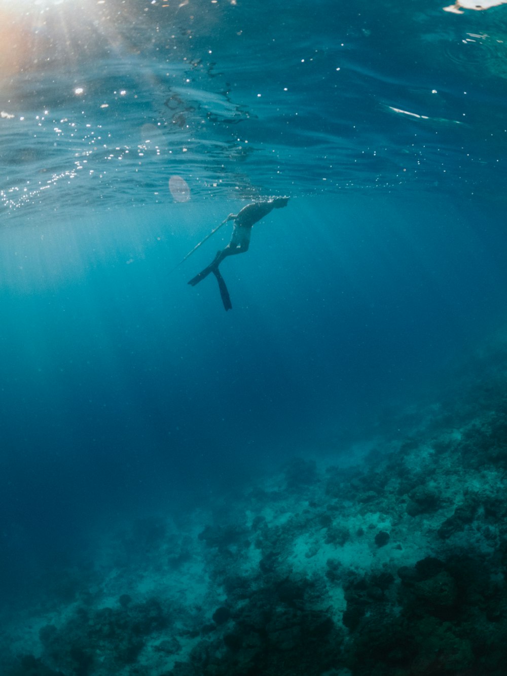 woman in blue bikini swimming in water