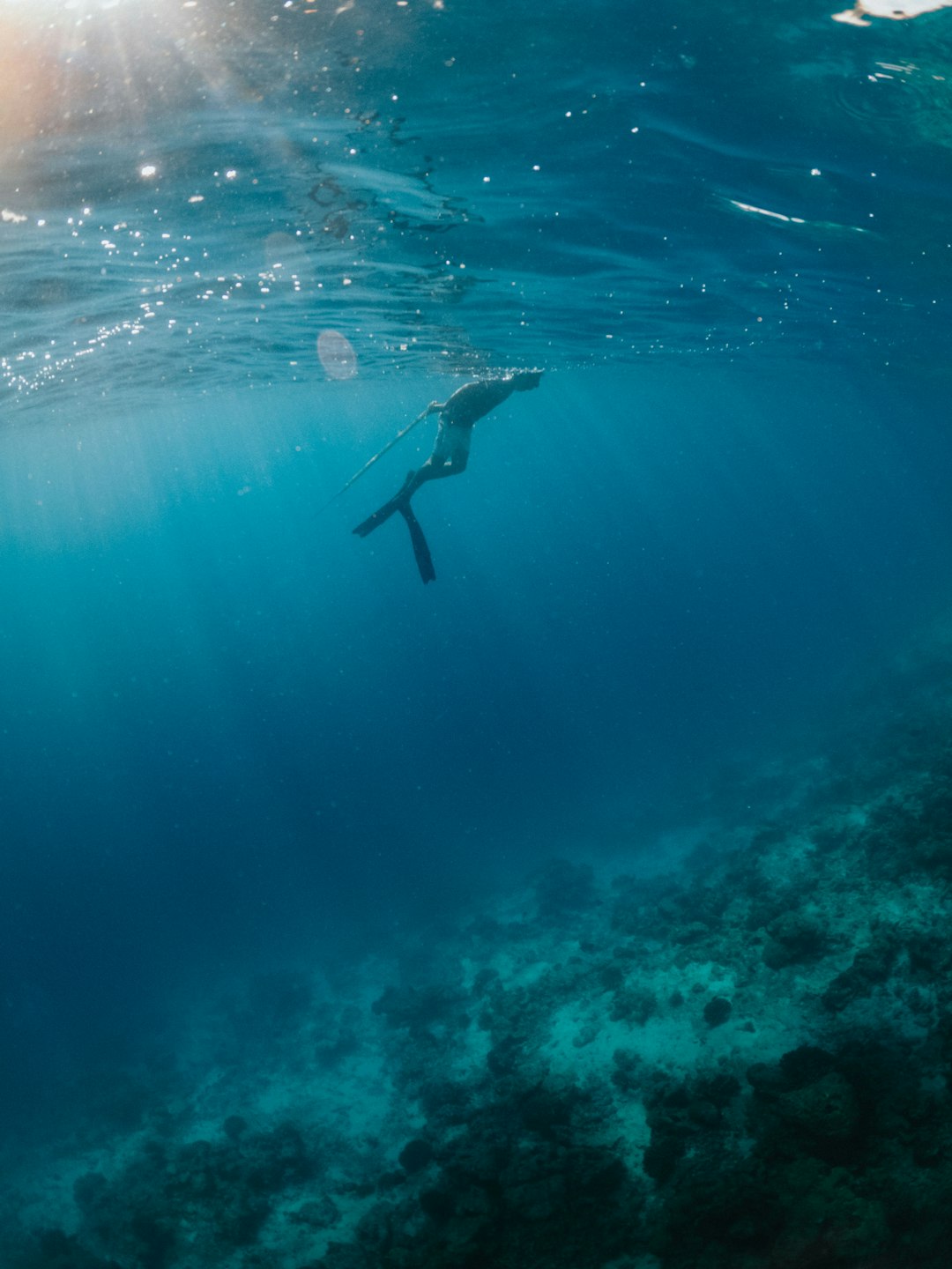 woman in blue bikini swimming in water