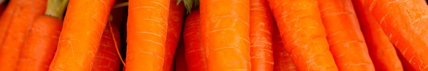 orange carrots on green grass