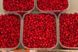 Several containers filled with bright red berries are neatly arranged. The berries are small and uniform in color, suggesting freshness and abundance.