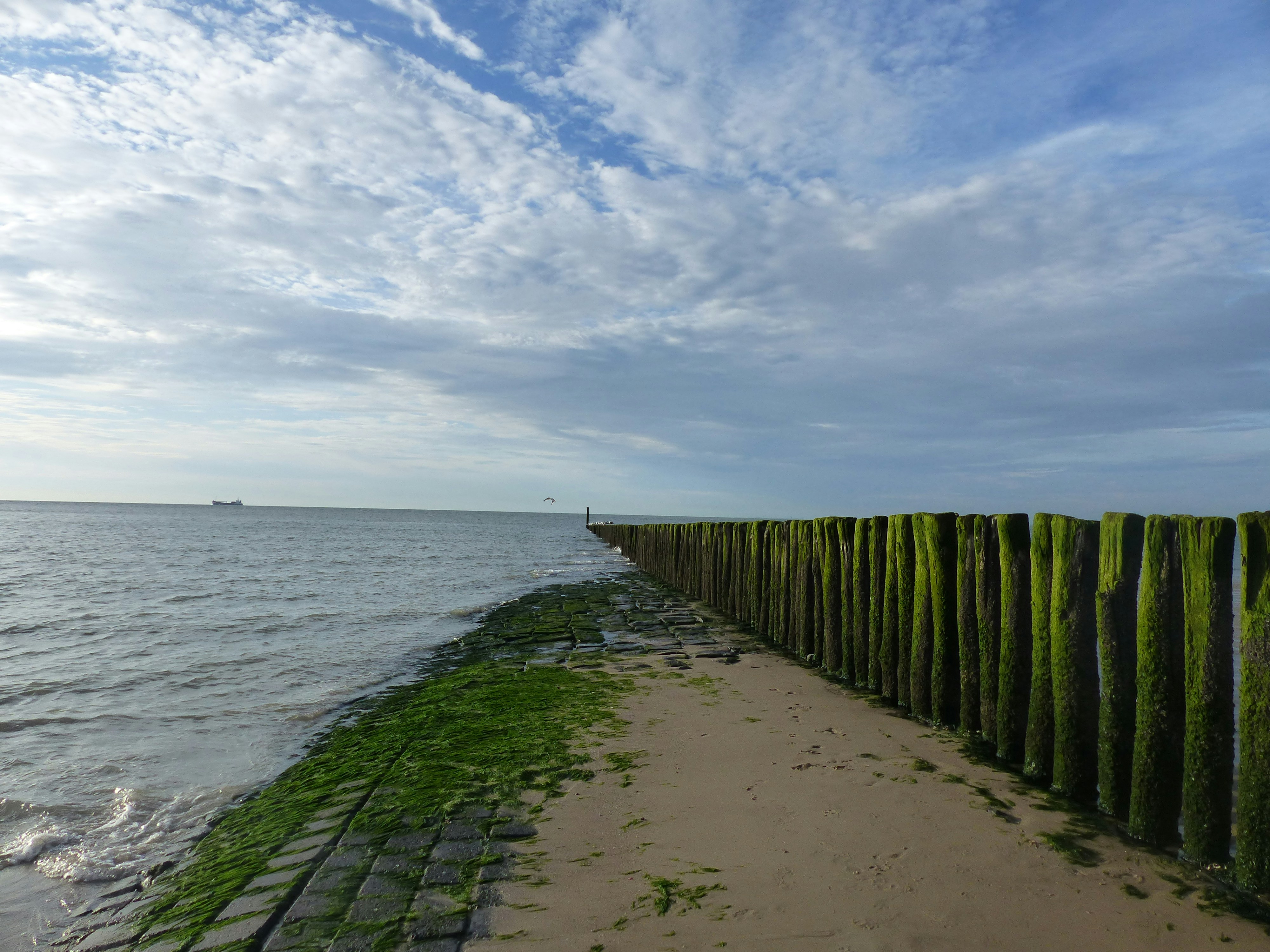 Nieuwvliet-Bad Beach view 2