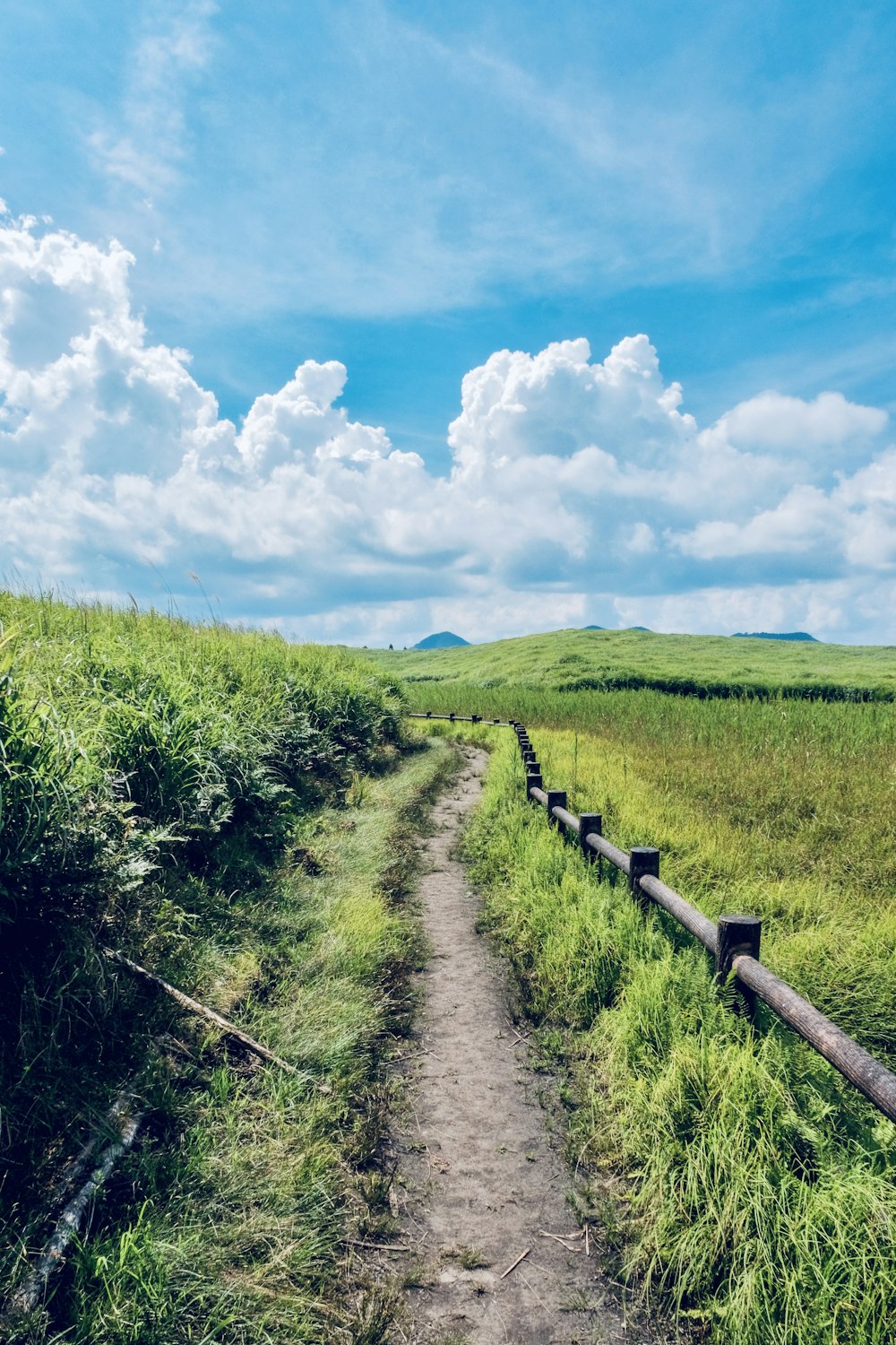 green grass field under blue sky during daytime