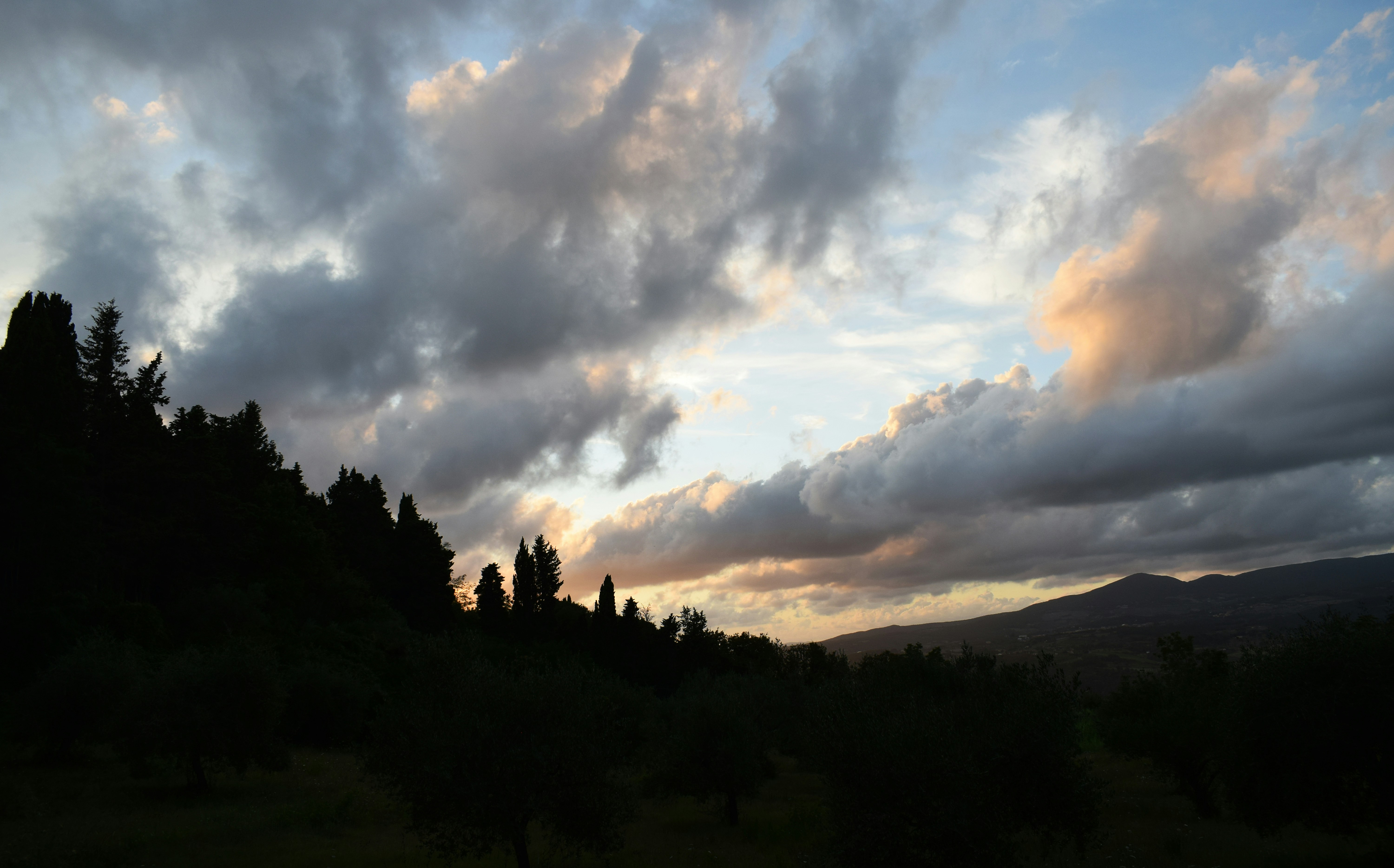 green trees under white clouds and blue sky during daytime