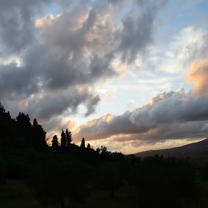 green trees under white clouds and blue sky during daytime