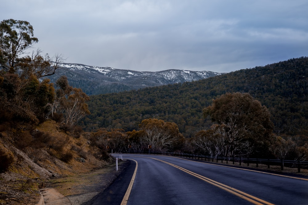Carretera de hormigón gris entre árboles marrones y montañas durante el día